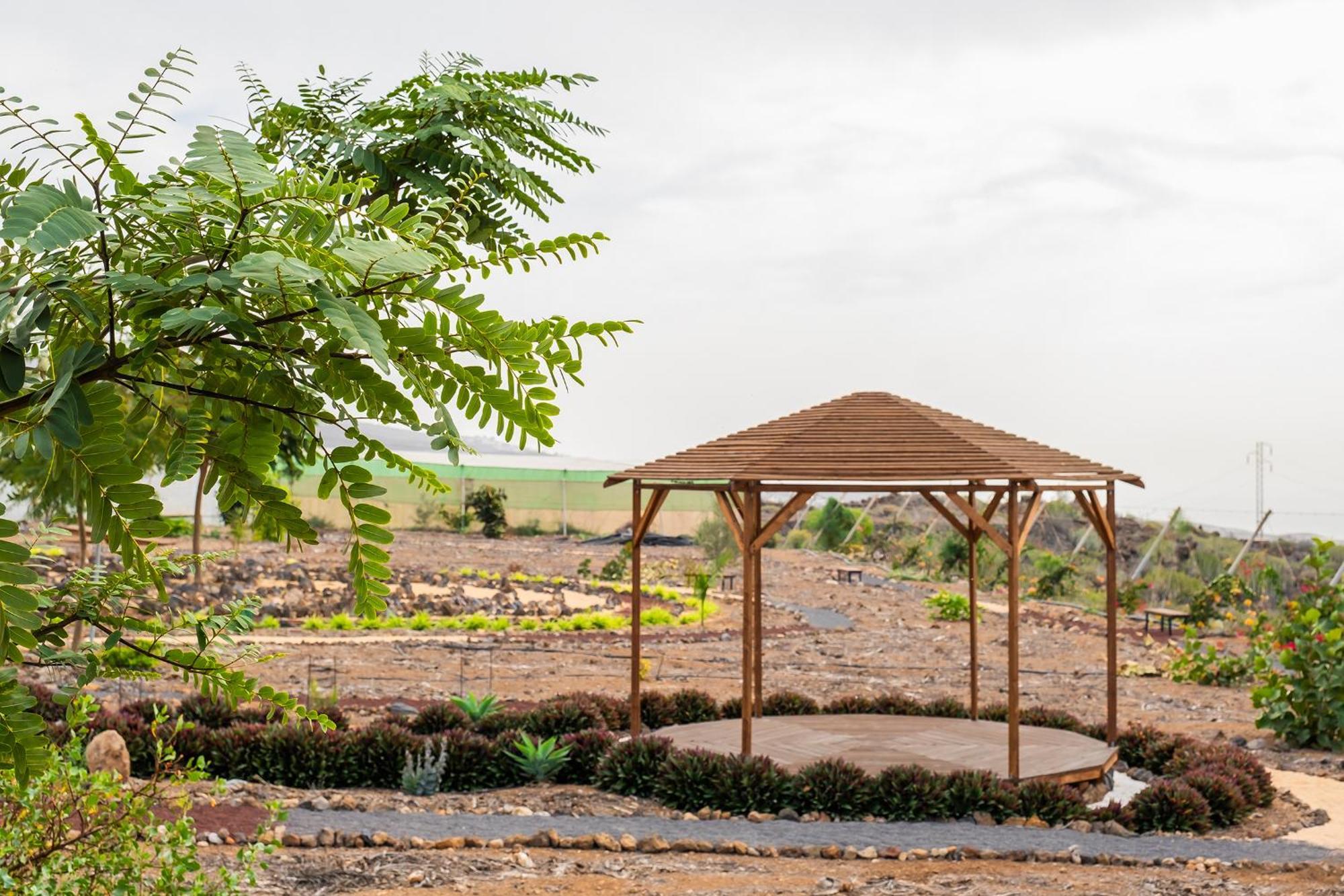 Tenerife Healing Garden Guía de Isora Екстериор снимка