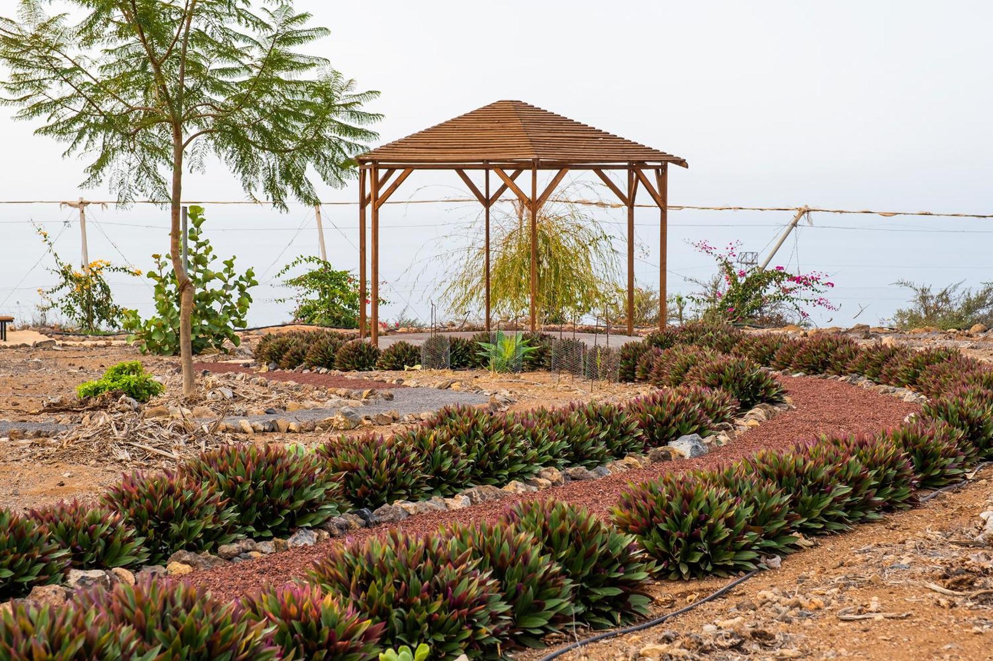 Tenerife Healing Garden Guía de Isora Екстериор снимка