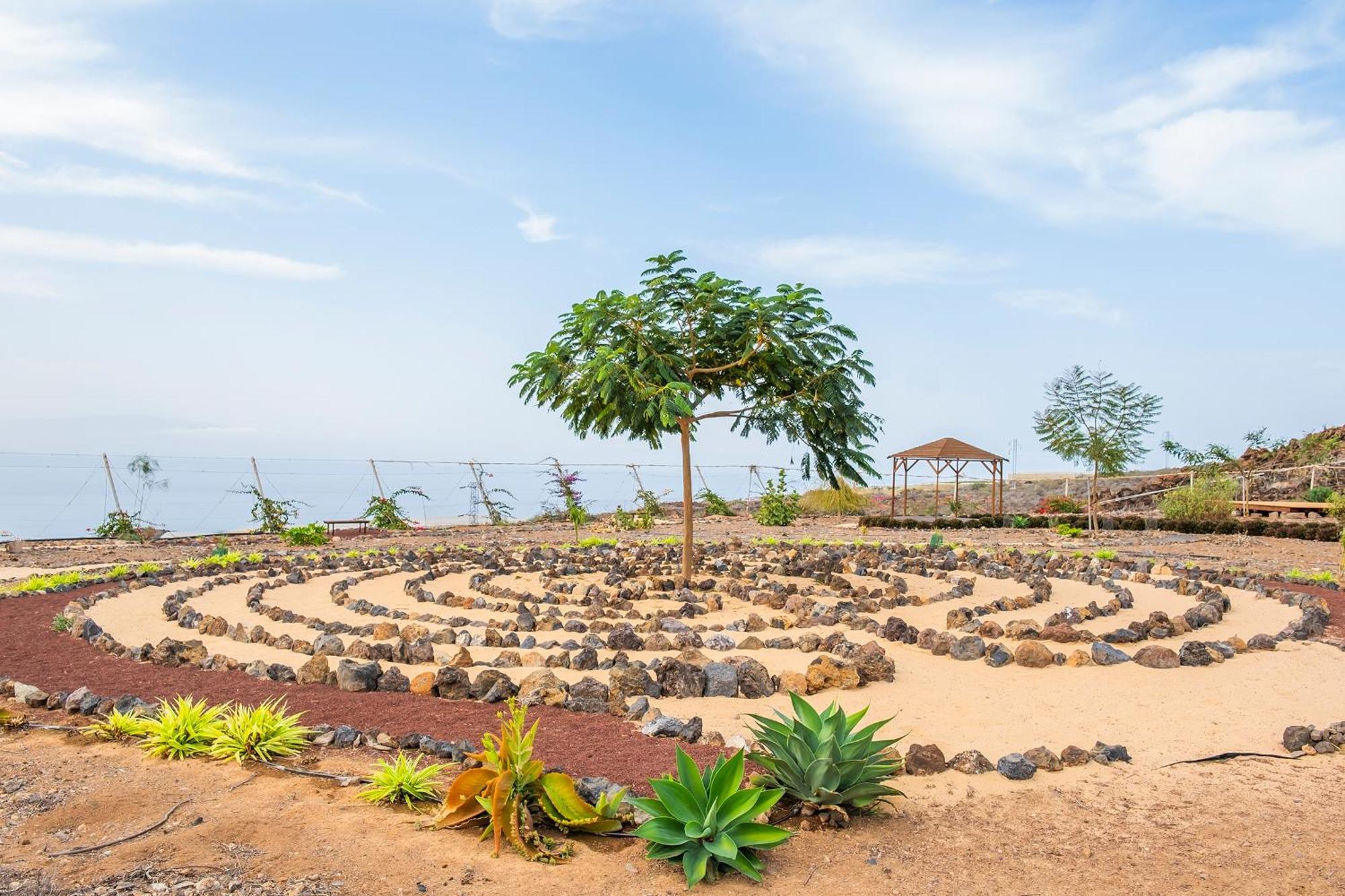 Tenerife Healing Garden Guía de Isora Екстериор снимка