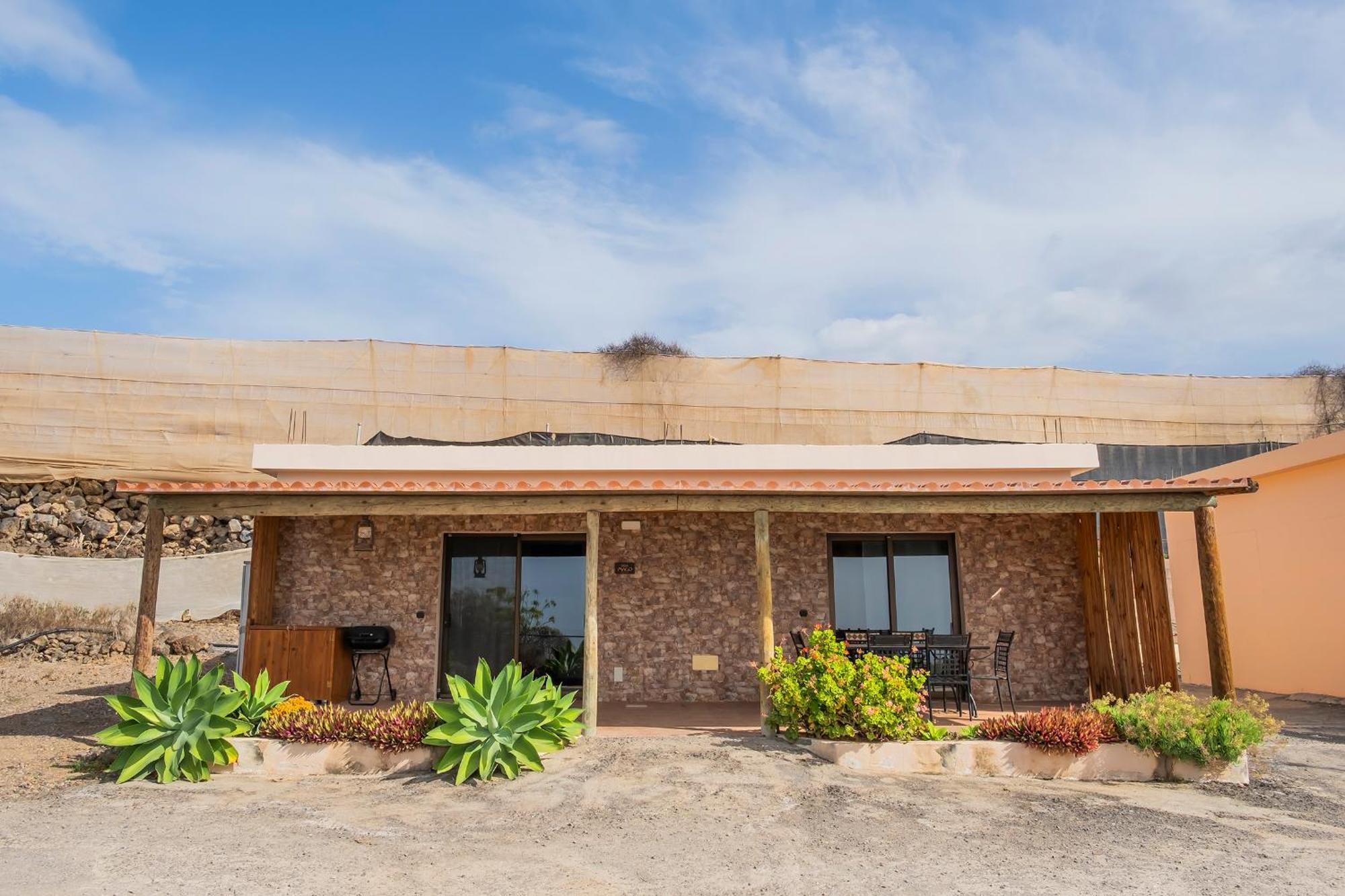 Tenerife Healing Garden Guía de Isora Екстериор снимка