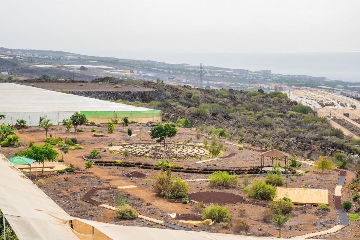 Tenerife Healing Garden Guía de Isora Екстериор снимка