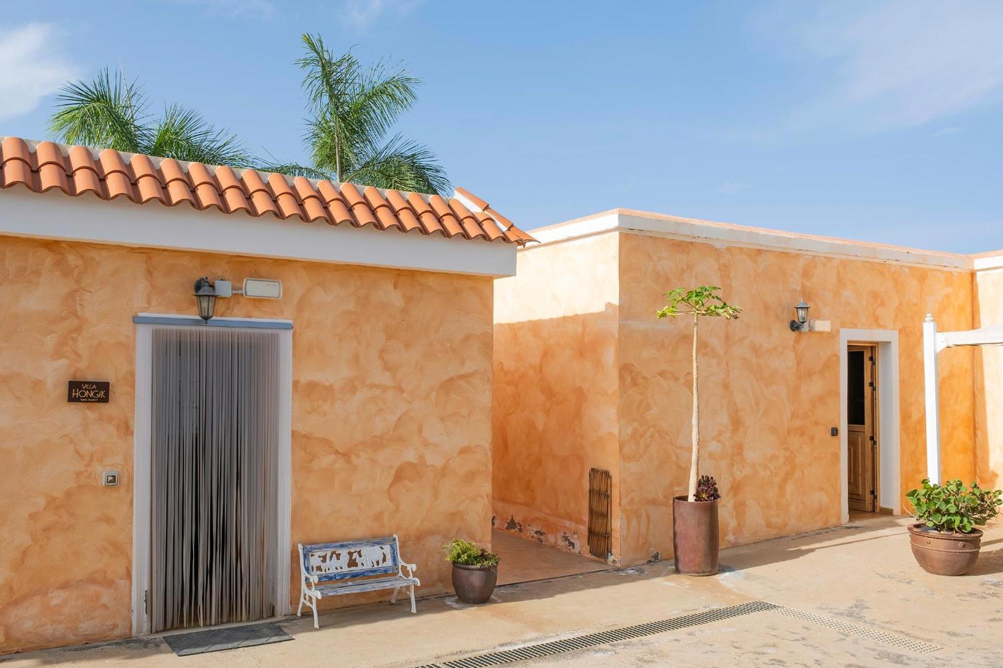 Tenerife Healing Garden Guía de Isora Екстериор снимка